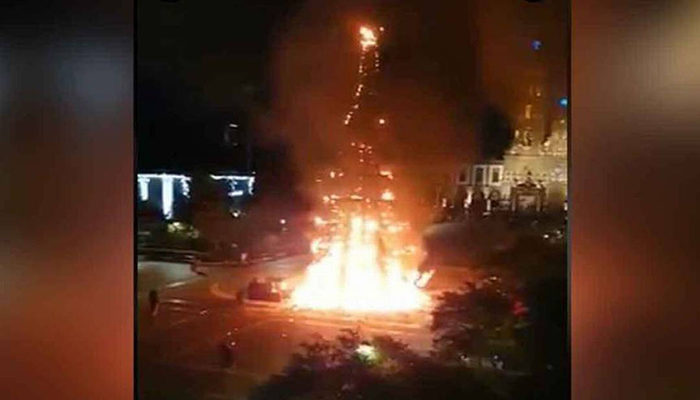 Cuetero pagará daños del árbol incendiado en Zapopan