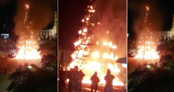 Ardió el árbol de navidad en Zapopan, no hay heridos