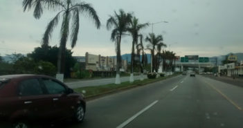 Muere joven tras impactarse contra palmera en Blvd. Riviera Nayarit