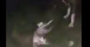 Amenazan a Blanca, dueña del gatito asesinado en Loma Bonita