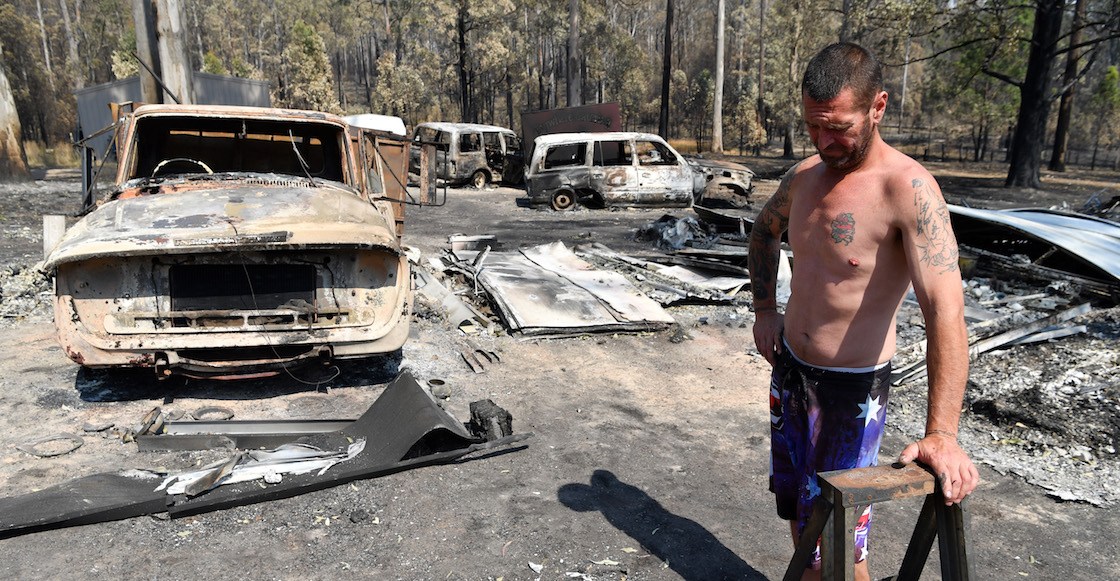 480 millones de animales afectados por incendios en Australia