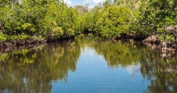 Finaliza consulta para definir el futuro del estero entre protestas