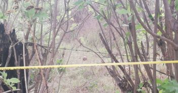 En Tlajomulco, perro cargaba en el hocico un cráneo humano