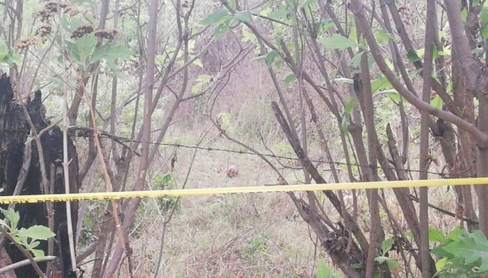 En Tlajomulco, perro cargaba en el hocico un cráneo humano