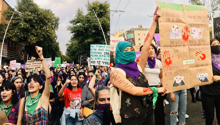 35 mil personas marcharon en Guadalajara por el Día de la Mujer