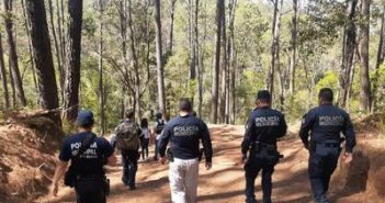 Buscan a felino que mató a un hombre en Valle de Bravo