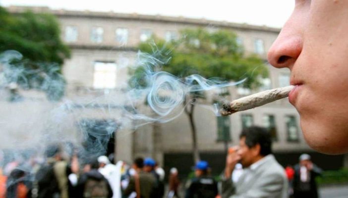 Se estanca la legislación para uso lúdico de mariguana