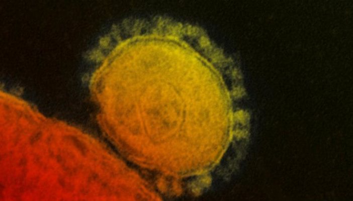 Se 'rodea' Puerto Vallarta de coronavirus