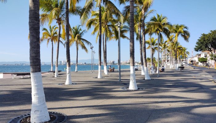 Tiene Puerto Vallarta 'jornada negra', suma 7 contagios y 1 deceso