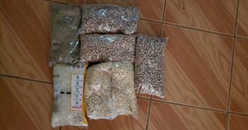 Asegura gobierno municipal que se entregaron 10 mil despensas