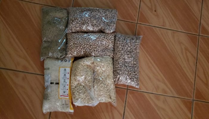 Asegura gobierno municipal que se entregaron 10 mil despensas