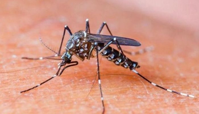 Jalisco es cuarto lugar en cantidad de contagios de dengue