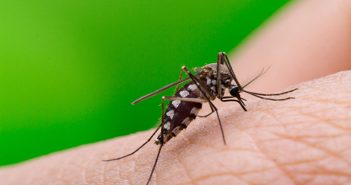 Jalisco asciende al tercer lugar nacional en casos de dengue