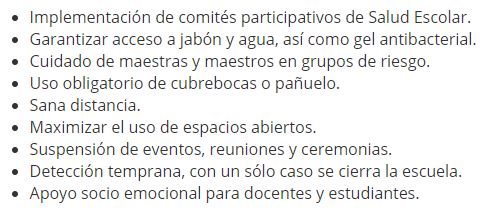 Regreso a clases para educación básica sería el 10 de agosto: SEP