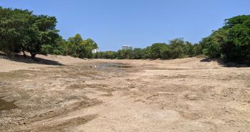 Van por quienes ordenaron el ecocidio en el Río Pitillal