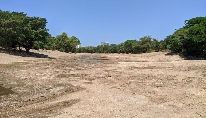 Van por quienes ordenaron el ecocidio en el Río Pitillal