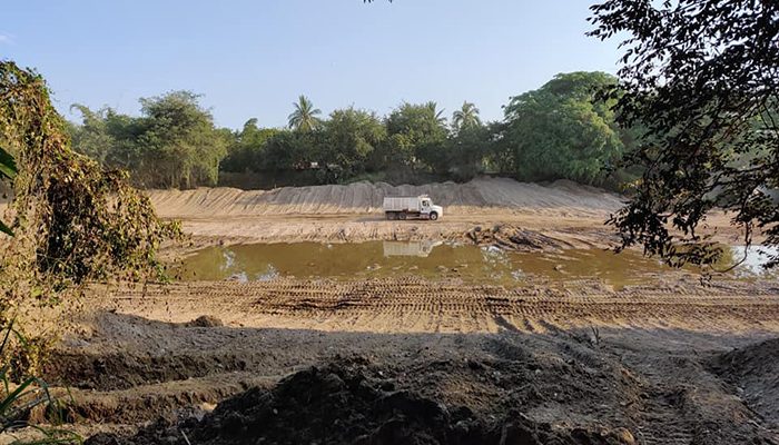 Sigue el ecocidio en el Río Pitillal; cientos de árboles fueron talados