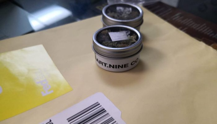 Decomisa Guardia Nacional 1 kilogramo de marihuana en PV