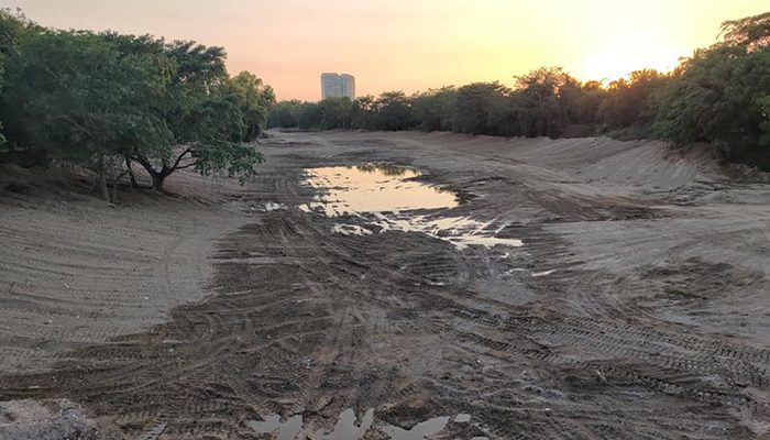 Vuelve a justificar Dávalos el ecocidio del Pitillal; dijo que 'salvará vidas'