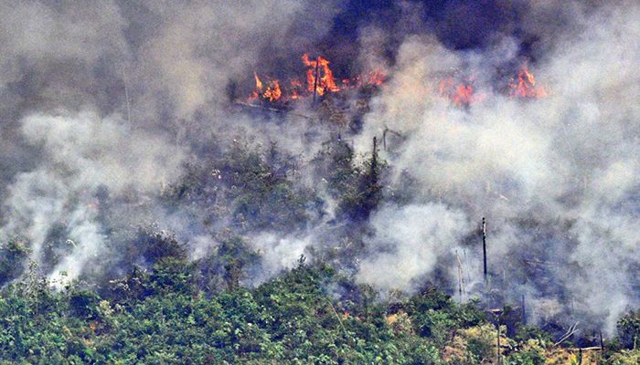 Amazonia, en total indefensión ante temporada de incendios
