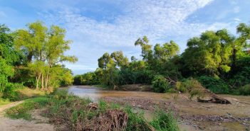 Ahora sí, municipio tomará en cuenta a expertos en ecología