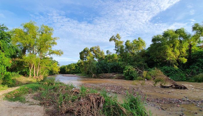 Ahora sí, municipio tomará en cuenta a expertos en ecología