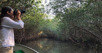 Vuelve a operar el Estero El Salado tras 3 meses cerrado