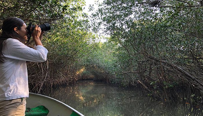 Vuelve a operar el Estero El Salado tras 3 meses cerrado