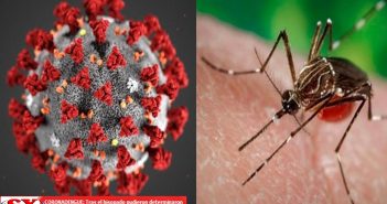 Detecta SSJ 5 casos de personas con Covid-19 y dengue al mismo tiempo