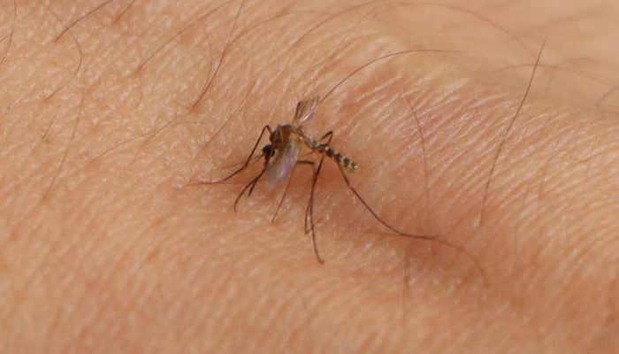 Jalisco refuerza la estrategia ¡Aguas, el dengue está en casa!