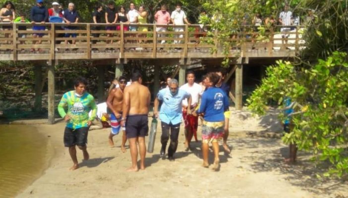 Menor de 6 años grave por ataque de cocodrilo en Guerrero