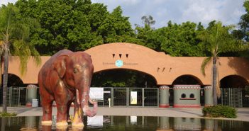 Zoológico de Guadalajara reabre sus puertas al público
