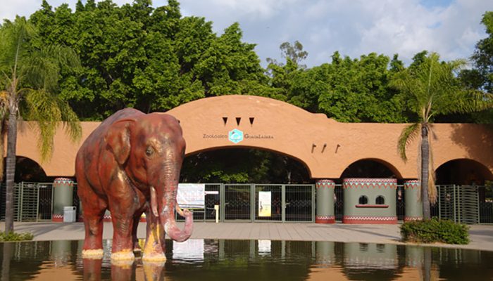 Zoológico de Guadalajara reabre sus puertas al público