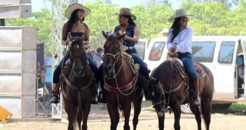 No se podrá disfrutar de 'las paseadas' este año