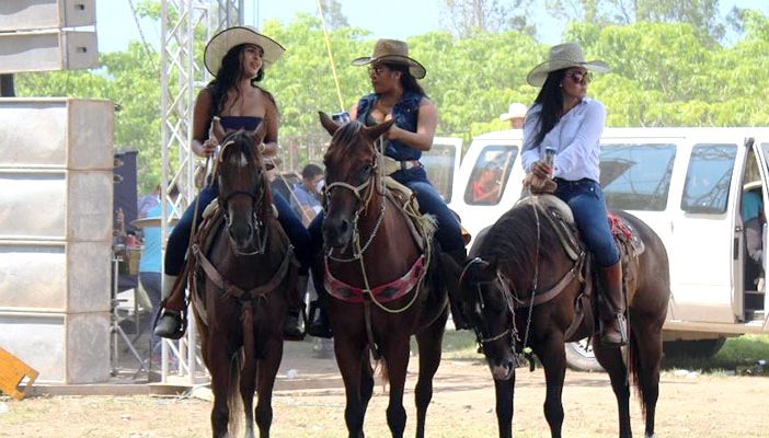 No se podrá disfrutar de 'las paseadas' este año