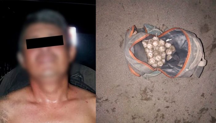 Detienen a hombre con 94 huevos de tortuga en Boca de Tomates
