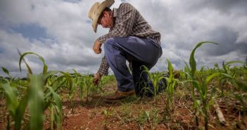 Identifican registros dobles en programa 'Producción para el Bienestar'