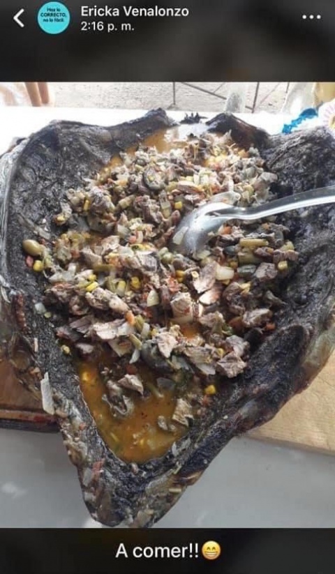 #LadyCaguama: regidora come tortuga en peligro de extinción 1 #LadyCaguama: regidora come tortuga en peligro de extinción