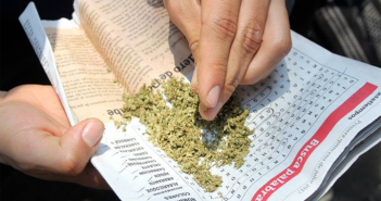 Perfilan para septiembre uso de la marihuana con fines medicinales