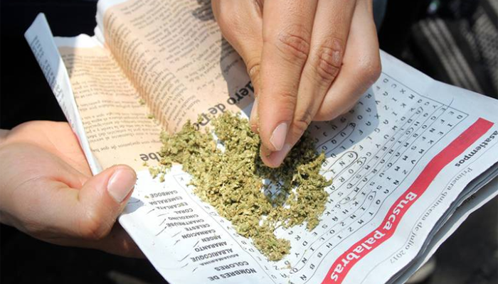 Perfilan para septiembre uso de la marihuana con fines medicinales