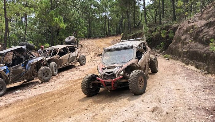 Reportan secuestro masivo de jóvenes de León en Vallarta