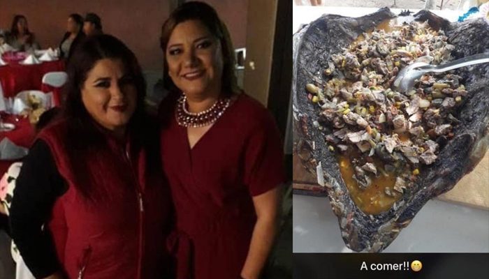 #LadyCaguama: regidora come tortuga en peligro de extinción