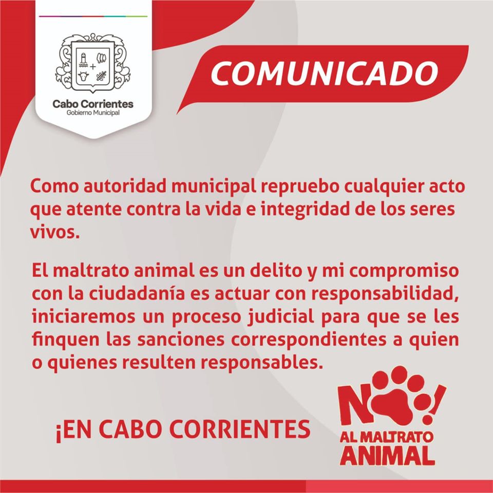 Iniciarán proceso judicial contra joven que mató a perrito en Cabo Corrientes