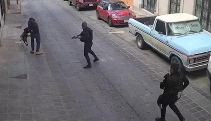 Apuñalan a ‘Rocko’, un perro policía que cumplía con su deber