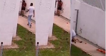 Separan del cargo a directora de albergue '100 corazones'