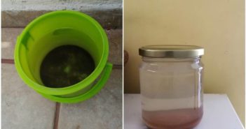 Muestras de agua 'potable' de Guadalajara tienen materia fecal