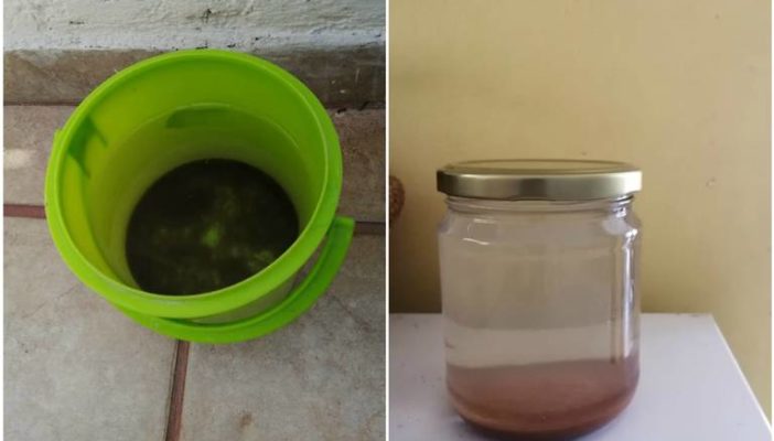 Muestras de agua 'potable' de Guadalajara tienen materia fecal