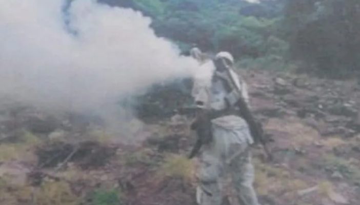 Encuentran y destruyen plantíos de mariguana en Ixtlahuacán del Río