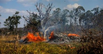 Incendios en América Latina: la catástrofe que está afectando a gran parte del continente