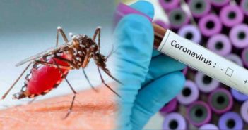 Identifican a 6 personas más con Covid-19 y dengue en Jalisco